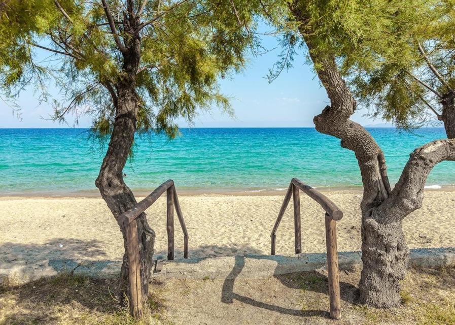 San Giorgio Luxury Apartments Ierissos Eksteriør billede
